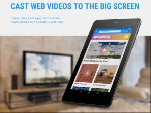 Web Video Caster Premium APK 2024 6