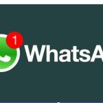 How to manage WhatsApp notifications on Android 2024